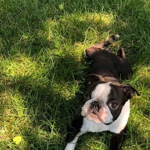 Meet your Posher, Kira